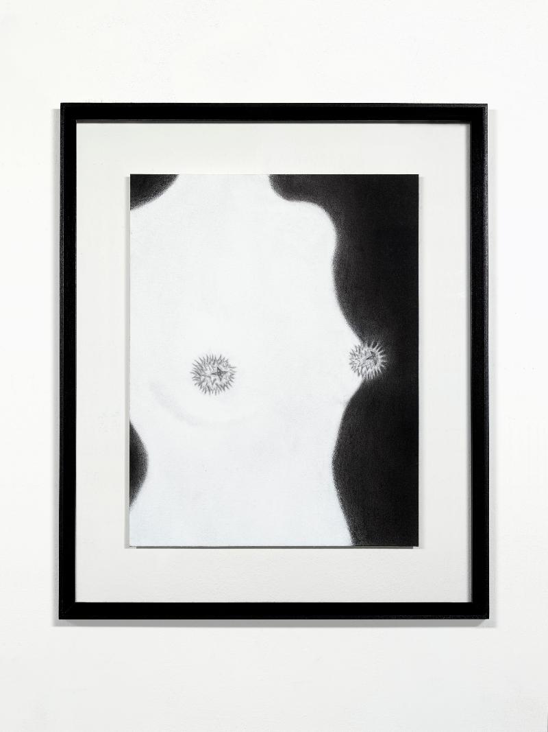 Siamo il passato oscuro del mondo #7, 2023, charcoal on paper, 35 x 27 cm (unframed), 48 x 40 (framed)