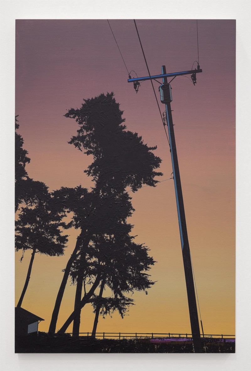 Devereux, 2015, acrylic on panel, cm 91,4 x 60,9 