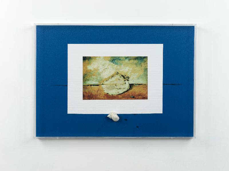 A F. de P., 2023, collage on blue paper applied on cardboard and shell in plexiglass case, h 50 x 70,5 x 5 cm 