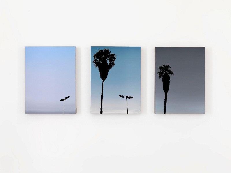 J+K+L, 2008, triptych, acrylic on linen, cm 80 x 60 each