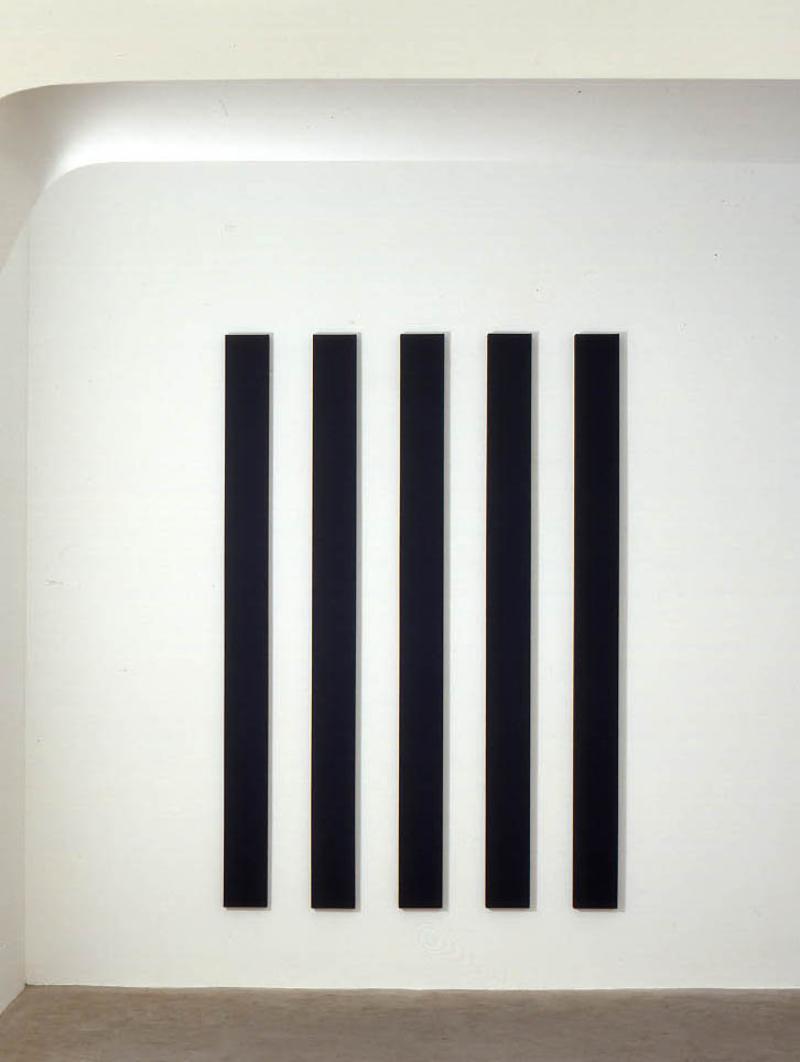 Equal painting, 1999, acrylic on canvas, 5 canvases equal in width to space between, cm 234 x 18 (each), cm 234 x 162 (overall dimensions)
