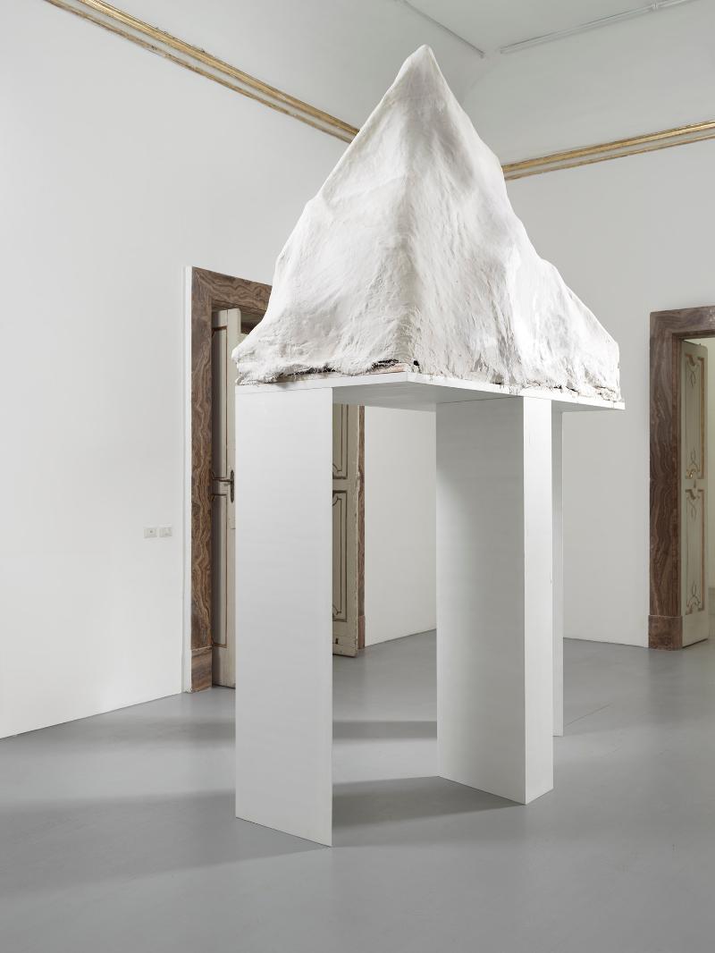 Piz, 2022, gesso, recinto di ferro per polli e legno, ca. 370 x 222 x 100 cm