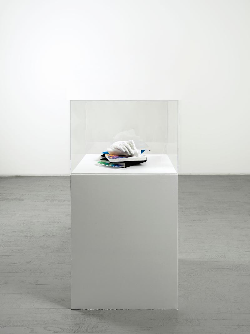 Prova dautore, 2021, plaster casts, books with blank pages, photostatic reproduction, white sheet, torn photostatic reproduction, plexiglas case, white base, base 90 x 75 x 75 cm, case 50 x 75 x 75 cm, h 142 x 75 x 75 cm overall dimensions